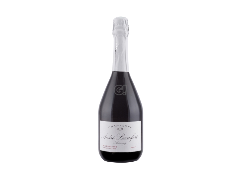 Champagne André Beaufort Ambonnay Vinothèque 1990 | Shop online